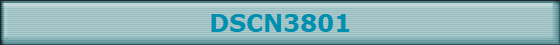 DSCN3801