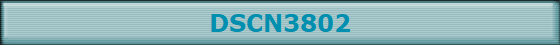 DSCN3802