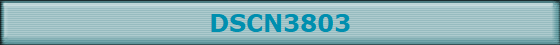 DSCN3803