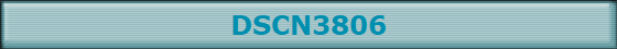DSCN3806
