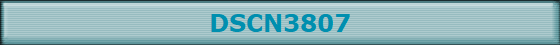 DSCN3807
