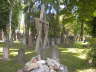 jdischer Friedhof